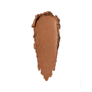 Skin Foundation Stick Foundation, Cool Honey (C-066), 9 g